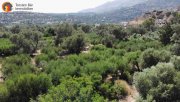 Agia Galini Kreta Agia Galini, Bauerwartungsland mit Meerblick und Strandnähe Grundstück kaufen